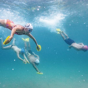 FINIS Swimming | Full Collection