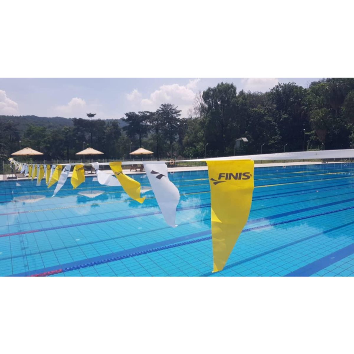 Backstroke Flags (Bunting) | Mirror Fabric