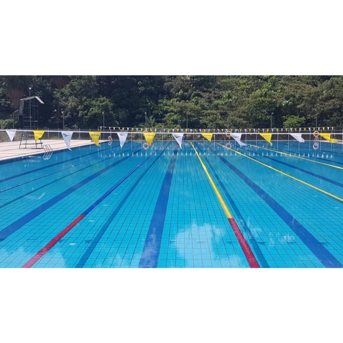Backstroke Flags (Bunting) | Mirror Fabric